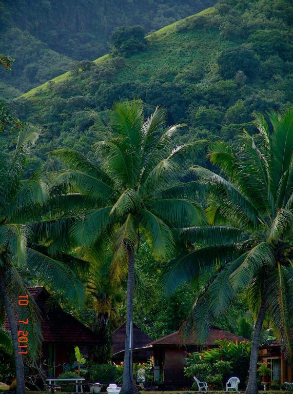 Tauhanihani Village Lodge La Vague Bleue Teahupoo Exterior foto